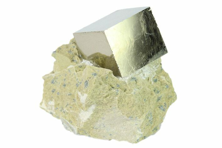 Shiny, Natural Pyrite Cube In Rock - Navajun, Spain #131158